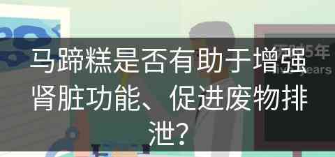 马蹄糕是否有助于增强肾脏功能、促进废物排泄？